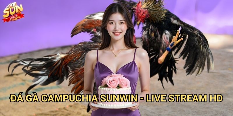 Đá gà Campuchia Sunwin - Đấu trường quốc tế uy tín 3 Đá gà Campuchia Sunwin - Live stream HD