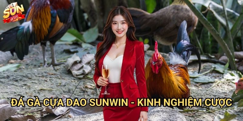 Đá gà cựa dao Sunwin - Đấu trường máu lửa 3 Đá gà cựa dao Sunwin - Kinh nghiệm cược