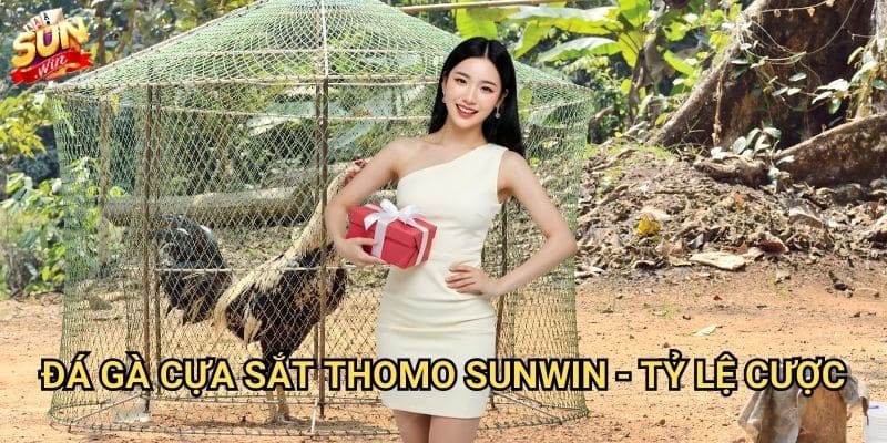 Đá gà cựa sắt Thomo Sunwin - Trận chiến khốc liệt 3 Đá gà cựa sắt Thomo Sunwin - Tỷ lệ cược