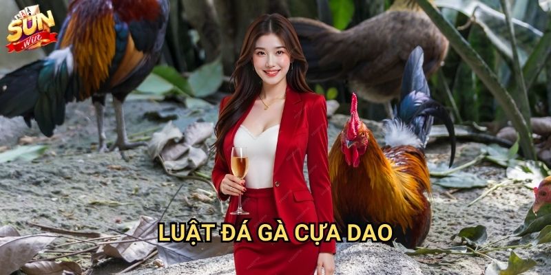 Đá gà cựa dao Sunwin - Đấu trường máu lửa 2 Luật đá gà cựa dao
