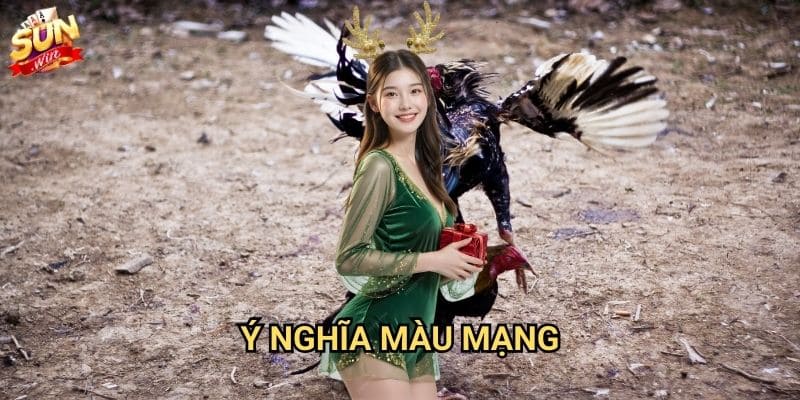 Màu mạng đá gà Sunwin - Bí mật cược thắng lớn 2 Ý nghĩa màu mạng